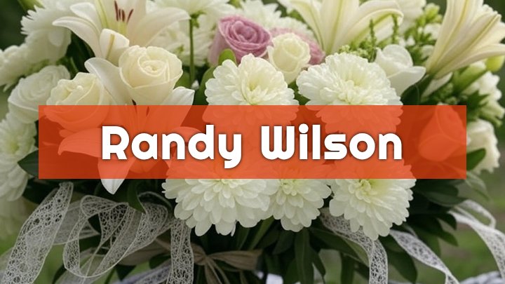 randy wilson port jervis ny obituary