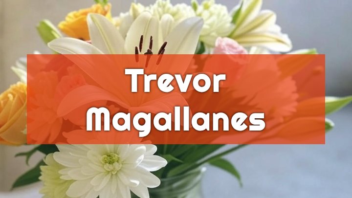 trevor magallanes san francisco ca obituary